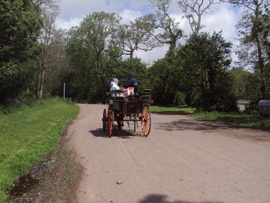 Ryebrook House Bed & Breakfast Killarney Luaran gambar
